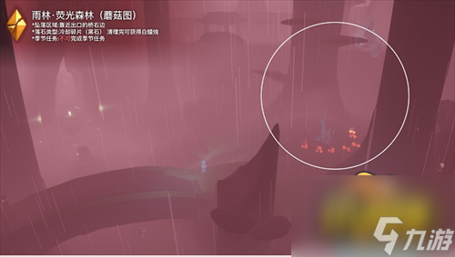破晓季雨林碎片位置大全 光遇破晓季雨林碎片在哪里