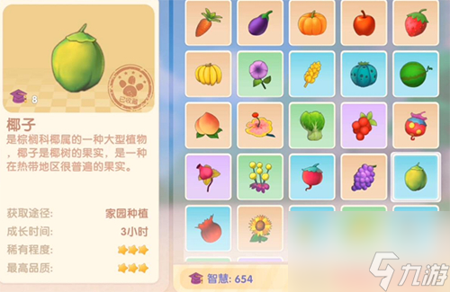 怎么获取解答 摩尔庄园手游椰子在哪截图