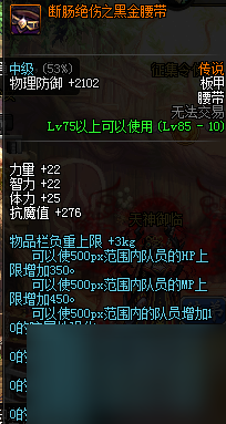 dnf帕拉丁职业详细解析（dnf帕拉丁萌新上手指南）