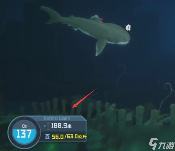 《潜水员戴夫》巨口鲨在哪抓 巨口鲨抓捕位置