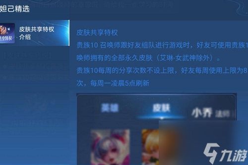 王者荣耀V10皮肤共享有限制吗