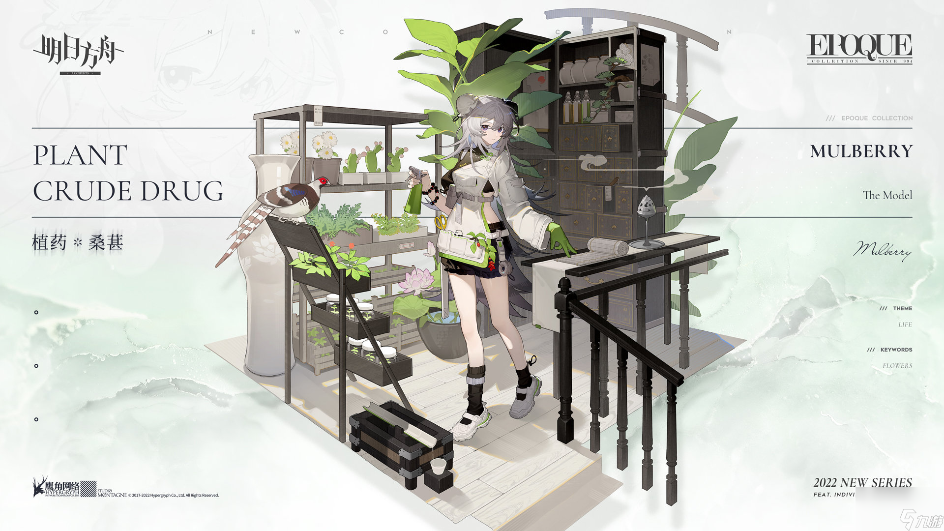明日方舟桑葚植药怎么样