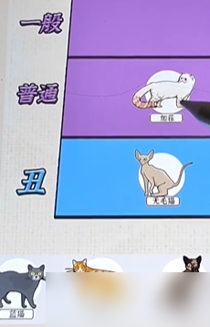 《爆梗找茬王》猫中美女过关方法