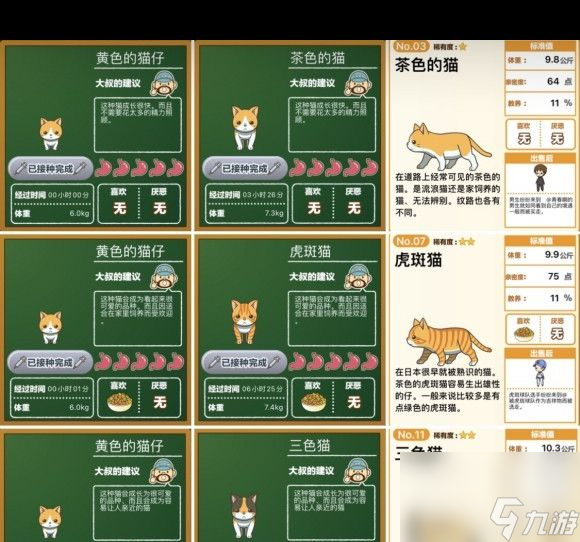 模拟经营养猫手游《猫猫咖啡屋》正式上线？猫猫咖啡屋内容分享