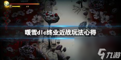 暖雪dlc2近戰(zhàn)流怎么玩？