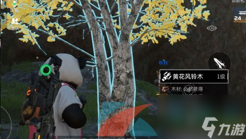 星球重启黄花风铃木位置一览