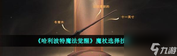 《哈利波特魔法觉醒》中制作缓和剂攻略（成为魔法师的必备技能——学会制作缓和剂）
