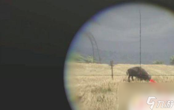 荒野大鏢客小型獵物箭怎么用 荒野大鏢客2小型動物弓箭怎么得到