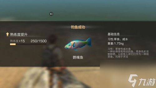 明日之后鹦嘴鱼获取方法