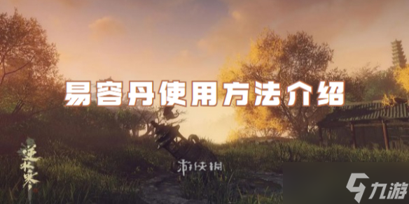 逆水寒手游易容丹使用方法介绍