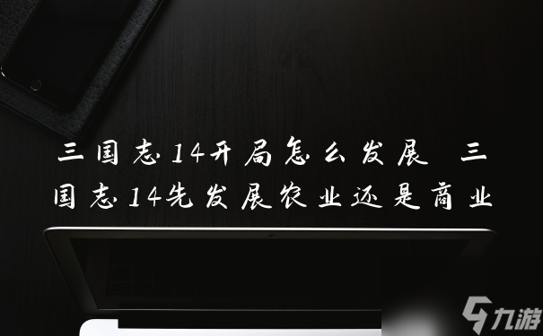 三國(guó)志14開(kāi)局怎么發(fā)展 三國(guó)志14先發(fā)展農(nóng)業(yè)還是商業(yè)