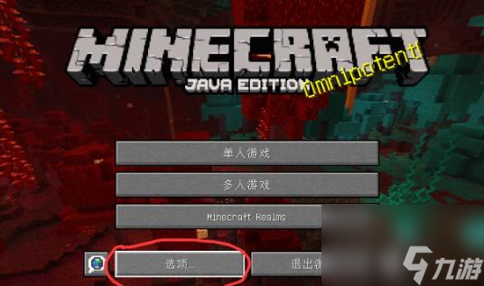 《我的世界》调移动键位方法