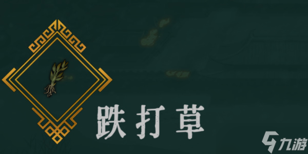 《暖雪》跌打草效果介绍