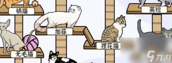 爆梗找茬王猫爬架怎么过_爆梗找茬王猫爬架通关指南