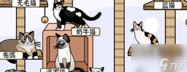 爆梗找茬王猫爬架怎么过_爆梗找茬王猫爬架通关指南