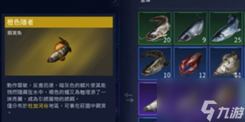 星球重啟觀賞魚怎么養(yǎng)