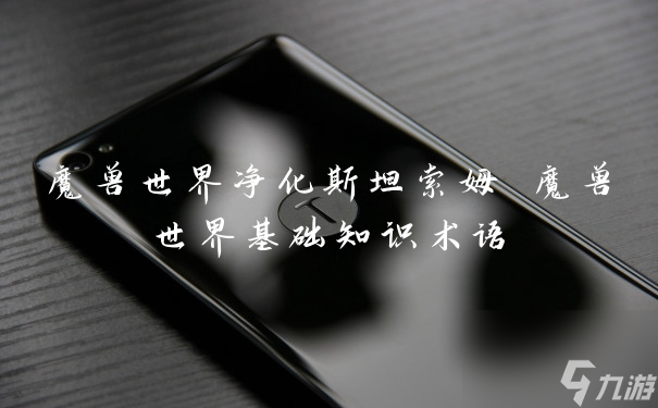 魔獸世界凈化斯坦索姆 魔獸世界基礎(chǔ)知識術(shù)語