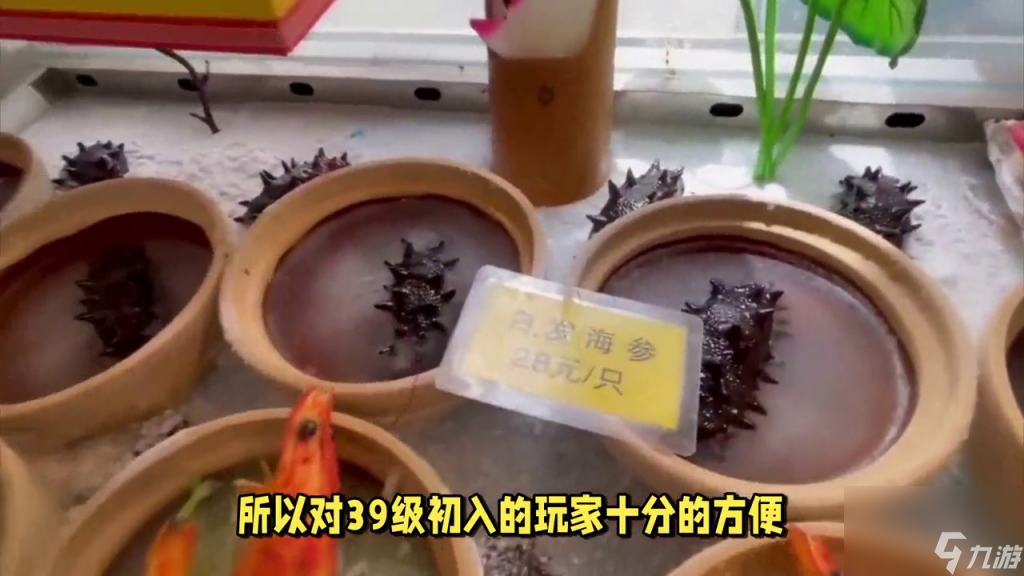 梦幻西游39级能干嘛（梦幻手游39级玩法介绍）「已解决」