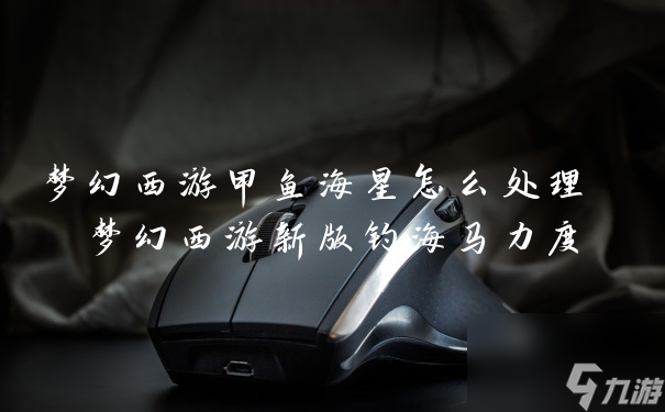 梦幻西游甲鱼海星怎么处理 梦幻西游新版钓海马力度