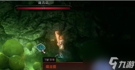 博德之门3箴言菇怎么拿？