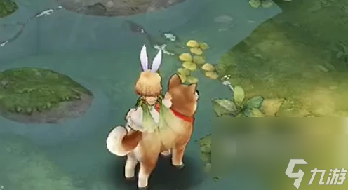 森之国度猫全部位置 森之国度猫全部位置一览