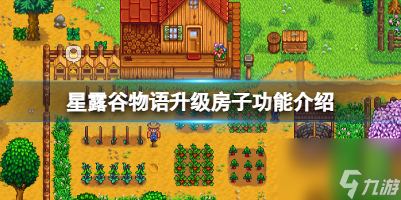 星露谷物语升级房子有什么用升级房子功能介绍