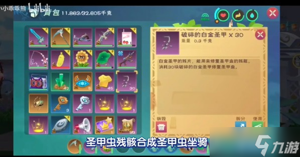 《创造与魔法》圣甲虫坐骑怎么获得，详细获取方法讲解