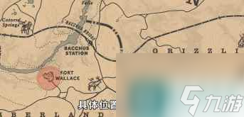 单机攻略《荒野大镖客2》传说动物皮毛作用介绍