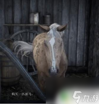 荒野大镖客2卖马 荒野大镖客2怎么卖马价值最高