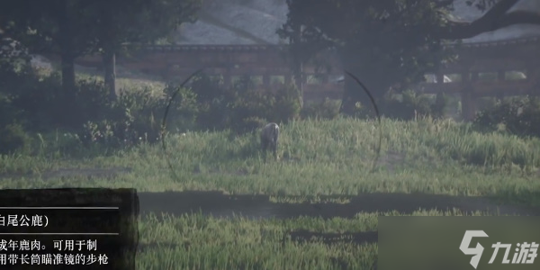 《荒野大鏢客2》完美公鹿皮獲取位置