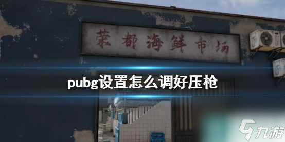 單機(jī)攻略《pubg》壓槍設(shè)置推薦