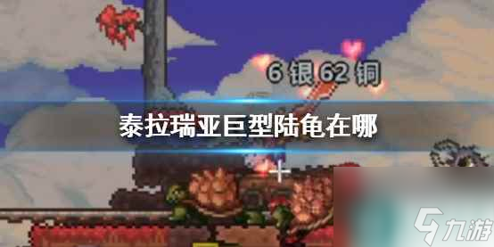 单机攻略《泰拉瑞亚》巨型陆龟位置介绍