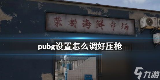 《pubg》壓槍設(shè)置引薦