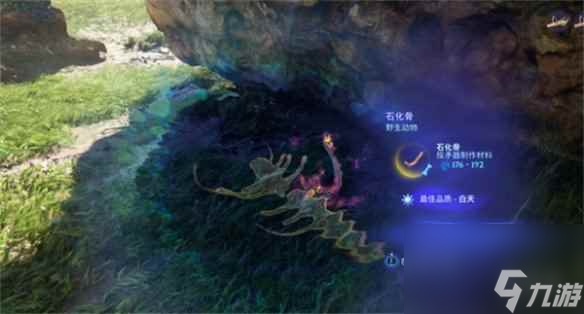 单机攻略《阿凡达潘多拉边境》石化骨获取地点