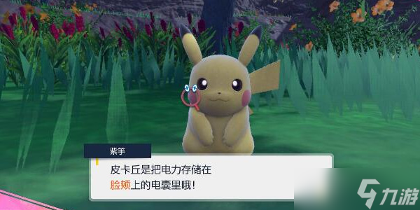 《宝可梦朱紫》紫竽问题答案攻略