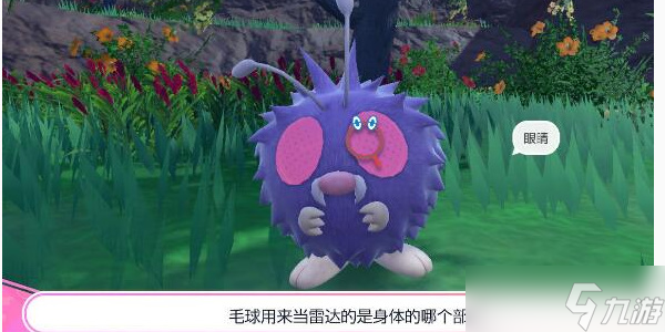 《宝可梦朱紫》紫竽问题答案攻略