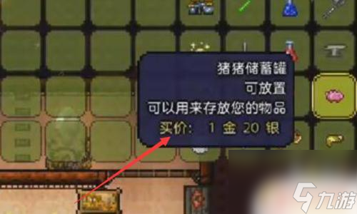 泰拉瑞亚有什么能动的背包 泰拉瑞亚随身背包有哪些隐藏功能