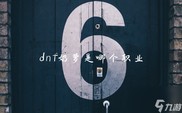 dnf奶蘿是哪個職業(yè)