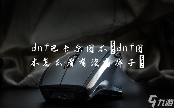 dnf巴卡尔团本(dnf团本怎么看有没有牌子)