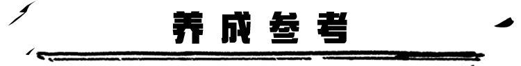 超进化物语2：盾主攻略——这面“盾牌”超厉害！