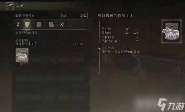 艾尔登法环骨灰如何快速升级 骨灰升级技巧解析