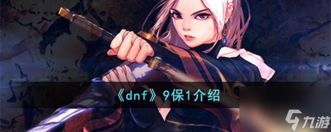 dnf9保1是什么-9保1介绍