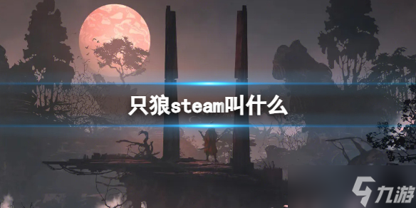 《只狼》steam名字介绍