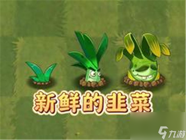 植物大戰(zhàn)僵尸2陽光韭菜怎么樣 植物大戰(zhàn)僵尸2陽光韭菜技能一覽