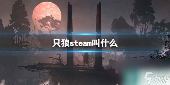 单机攻略《只狼》steam名字介绍