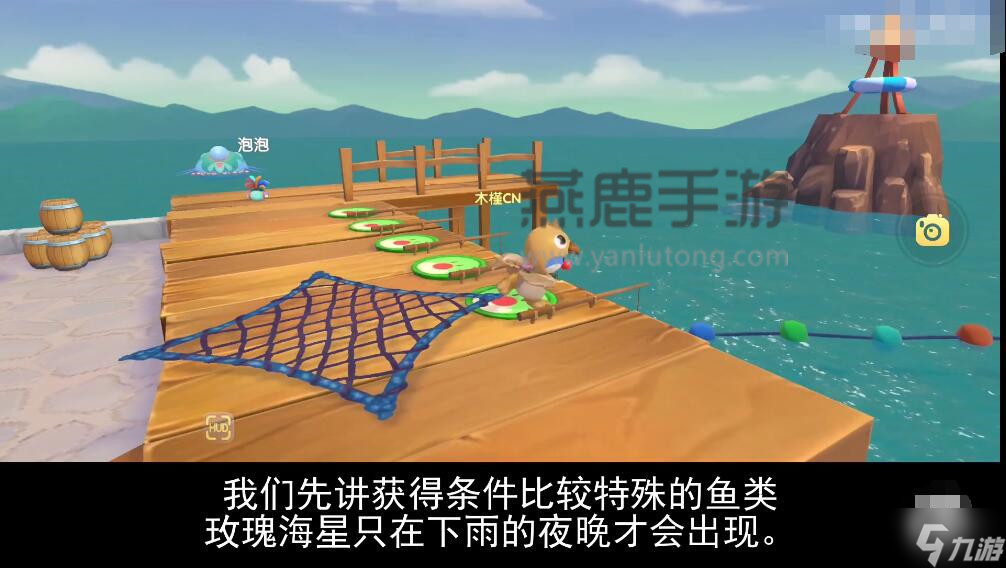 摩尔庄园玫瑰海星位置