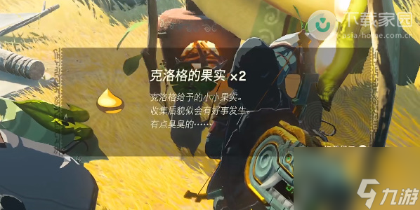 塞尔达传说王国之泪克洛格的果实位置攻略