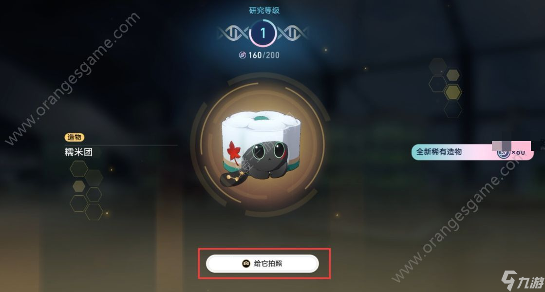 崩坏星穹铁道异宠拾遗活动怎么玩 异宠拾遗活动攻略[多图]