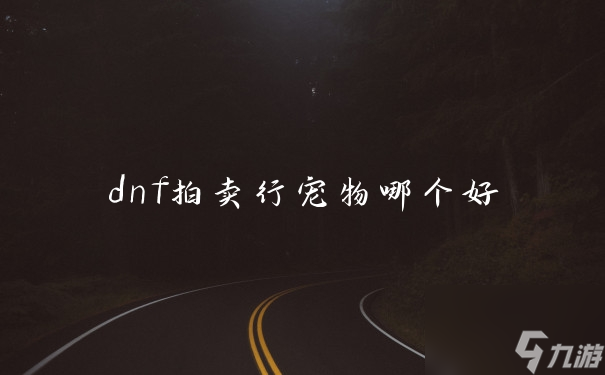 dnf拍卖行宠物哪个好