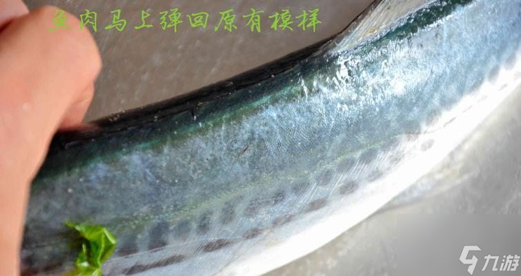 《探秘創(chuàng)造與魔法》中鲅魚分布圖及釣鲅技巧（掌握這些技巧，讓你在游戲中輕松釣到鲅魚?。?></p> 
<p><strong>冰原是釣鲅的好去處</strong></p> 
<p>冰原是釣鲅的好去處，在游戲中。在冰原的不同區(qū)域釣到的鲅魚也不同、而且。你可以捕捉到較大的鲅魚，舉例來說、在北邊的海岸上。</p> 
<p><strong>怎樣找到冰原</strong></p> 
<p>建議先找到群山和冰川之間的白色區(qū)域，這就是冰原，如果你在尋找冰原的位置。你可以找到很多水面，在這里、而且這些水面都是可以<a class='keyword-tag' href='http://illinois420edibles.com/czymf/keyword-128154-1/' data-statis='text:txt_newsdetail-799190_keyword_po-4_other-128154'>釣魚</a>的。</p> 
<p align=